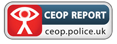 The CEOP logo is causing a major row over cyberbullying