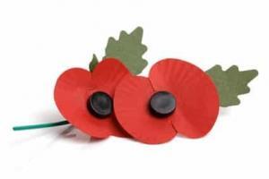 Remembrance sunday poppy