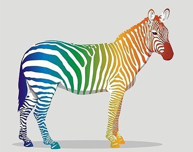 Image of Zebra in multiple colours