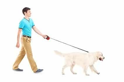 Full length portrait of a young man walking a dog, isolated on white background