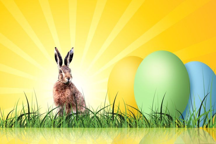 Easter Egg