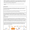 What is IP Telephony? IP Telephony report