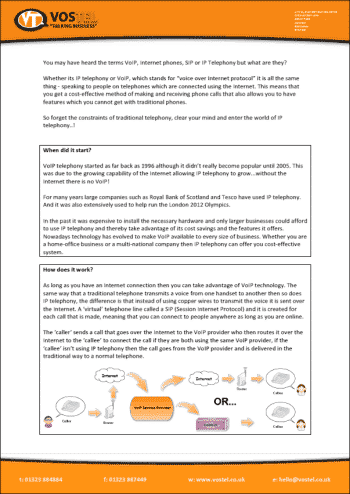 IP Telephony report