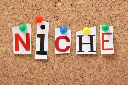 The word Niche on a cork notice board
