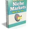 How to Make Niche Markets Work for You Niche Markets book cover