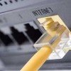 My server destroyed my WordPress website Network yellow cable connected to a router or modem