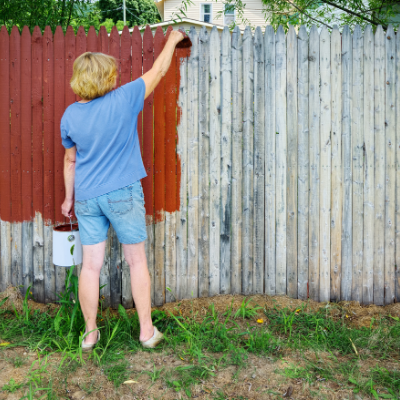 Fence painting
