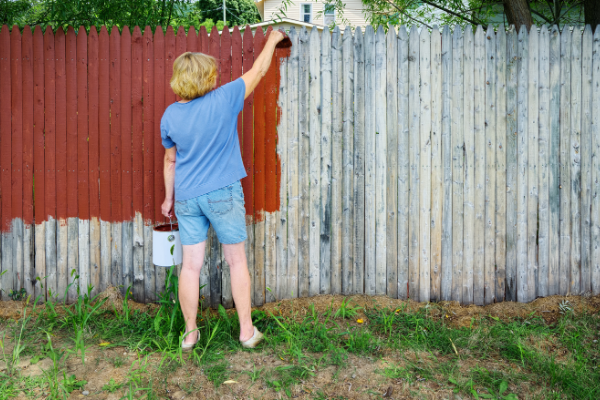 Fence painting