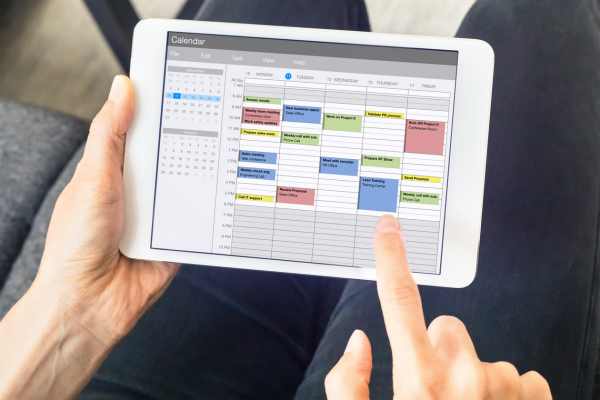 Electronic diary in use